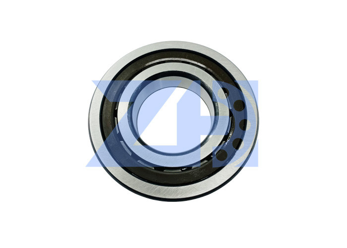 Argento di colore di Slewing Motor Bearing AP5S67 dell'escavatore