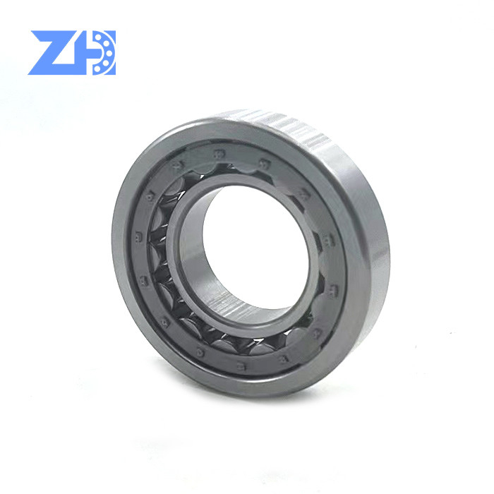 Dimensione 45*85*19 millimetro di Cylindrical Roller Bearing Zz 2rs NJ209E dell'escavatore