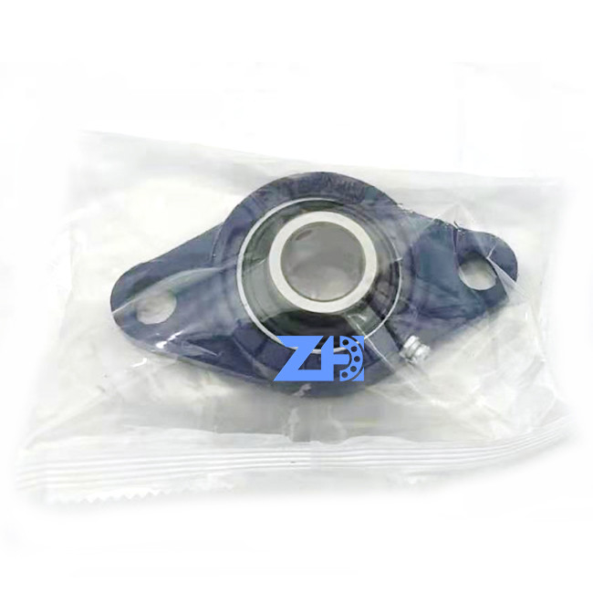LIVELLO di qualità di FYTB20TF FYTB20TF-W FYTB20TF-RS P0 P6 P5 P3 P4 P2 CHROME   Cuscino D'ACCIAIO   Palla   Cuscinetto