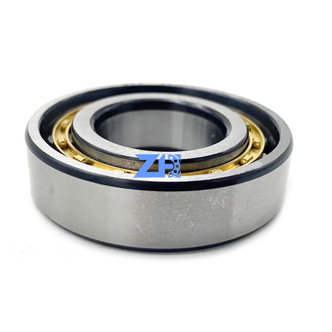 Cuscinetti a rulli cilindrici fila separabile cilindrica del cuscinetto a rulli 30*62*16mm di N206ECM RN206ECM di singola