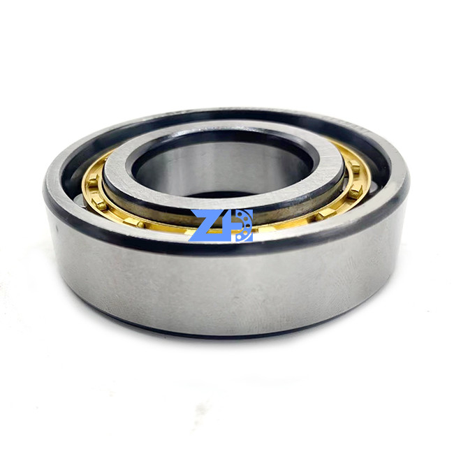 Cuscinetti a rulli cilindrici fila separabile cilindrica del cuscinetto a rulli 30*62*16mm di N206ECM RN206ECM di singola