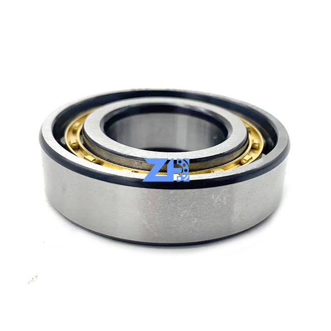 Cuscinetti a rulli cilindrici d'uso cilindrici di fila singola del cuscinetto a rulli 30*55.5*16mm di RN206ECM