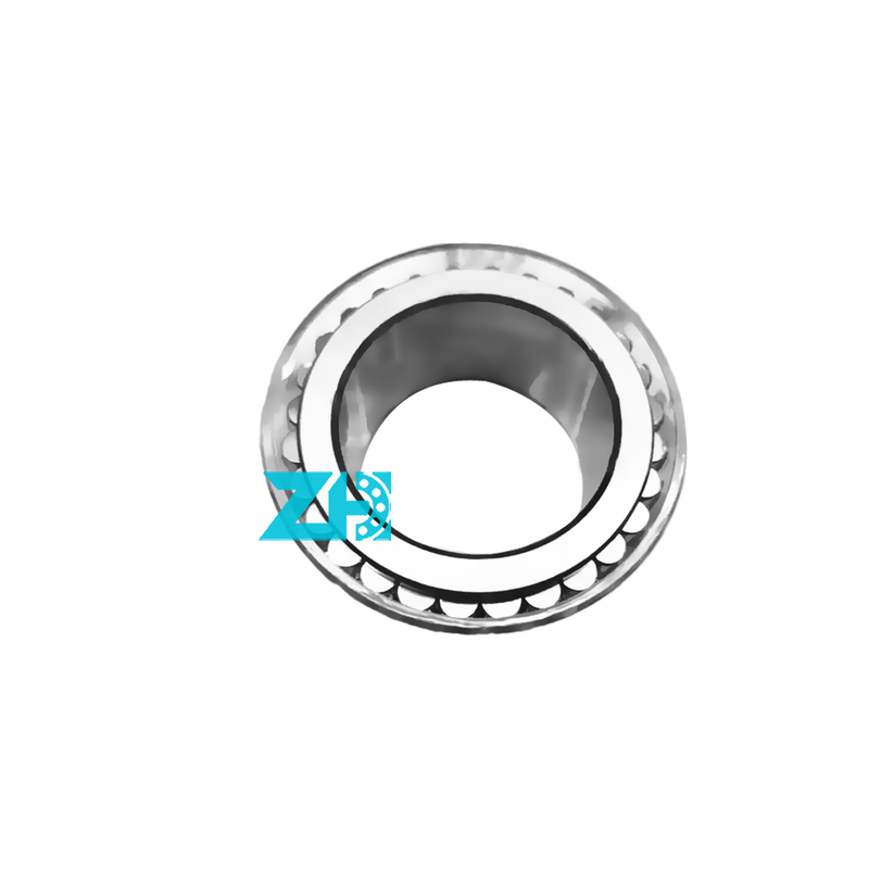 F-229575 Cuscinetto a rulli cilindrici a doppia fila 38*55.9*29.5 mm per elevata precisione e capacità di carico