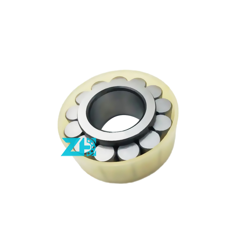 RSL18 2207 Cuscinetto a rulli cilindrico dimensioni 35X63.97X23 mm Alta precisione e capacità di carico