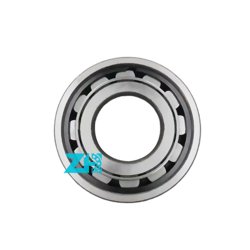 Cuscinetto a rulli cilindrico F-43710.1 Dimensione 35x62x19mm Alta precisione Capacità di carico GCR15 Stock abbondante