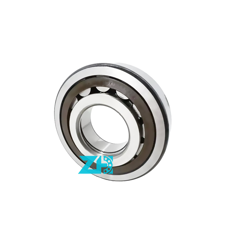 F140027 dimensione 46.2x80x21mm Doppio filare cilindrico a rullo con cuscinetto ad alta precisione e capacità di carico GCR15