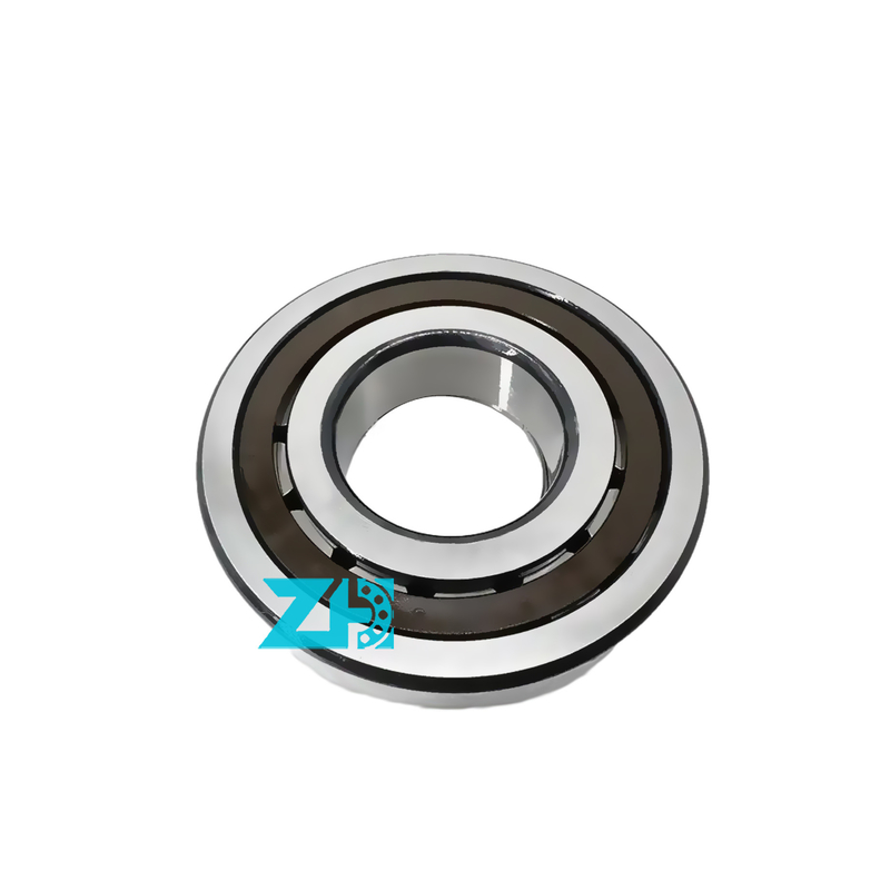 F140027 dimensione 46.2x80x21mm Doppio filare cilindrico a rullo con cuscinetto ad alta precisione e capacità di carico GCR15