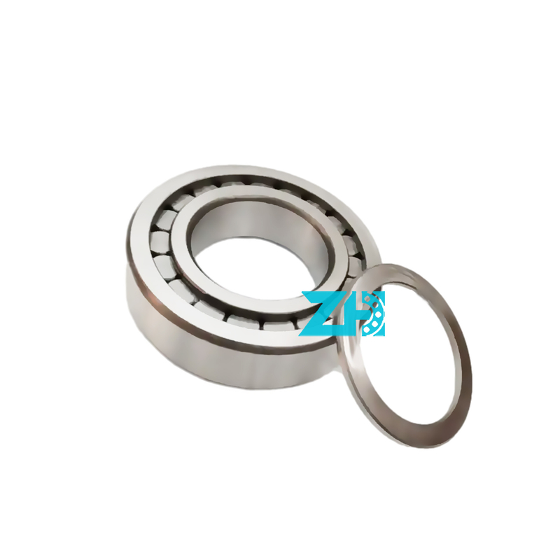 Cuscinetti a rulli cilindrici F-207407 cuscinetti a pompa idraulica SIZE 65x120x33mm cuscinetti a rulli cilindrici a riga singola