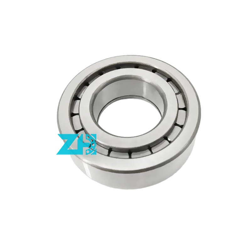 cuscinetto per pompe idrauliche F-203740.nup 25x54x21 mm cuscinetto a rulli cilindrici a fila singola F-203740