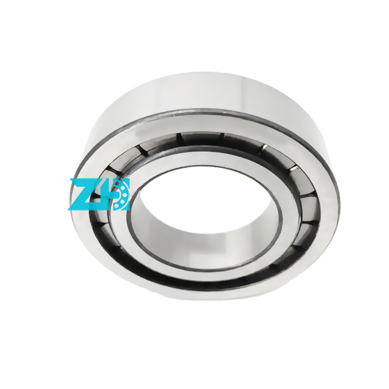 cuscinetto per pompe idrauliche F-203740.nup 25x54x21 mm cuscinetto a rulli cilindrici a fila singola F-203740