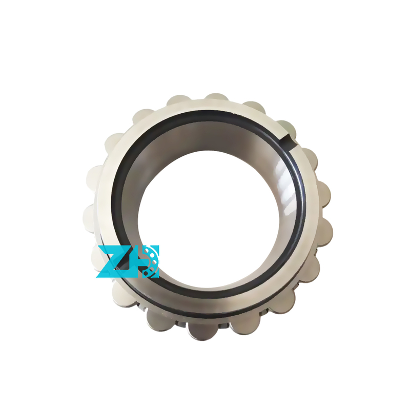 F-90836 Cuscinetto per ingranaggi F-90836.1cuscinetto cilindrico a rulli senza anello esterno F-90836.1A