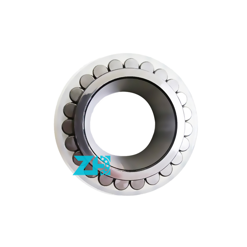 F-212355 Cuscinetti della scatola di cambio F-212355.02.RNN cuscinetto a rulli cilindrici a pieno supplemento F-212355.02