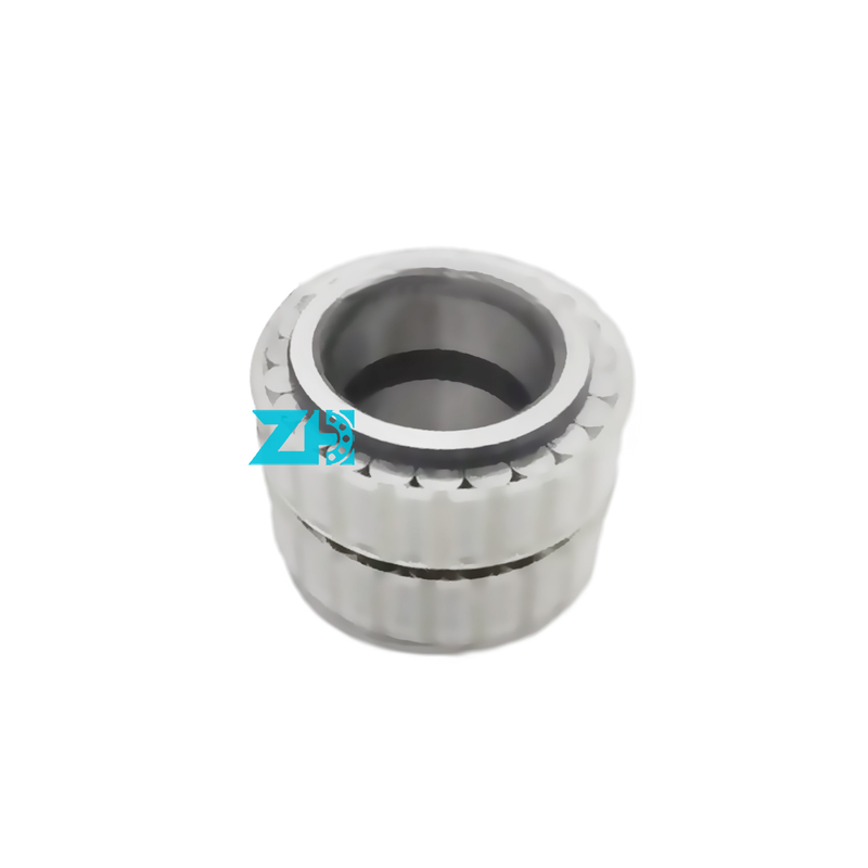 F-212355 Cuscinetti della scatola di cambio F-212355.02.RNN cuscinetto a rulli cilindrici a pieno supplemento F-212355.02
