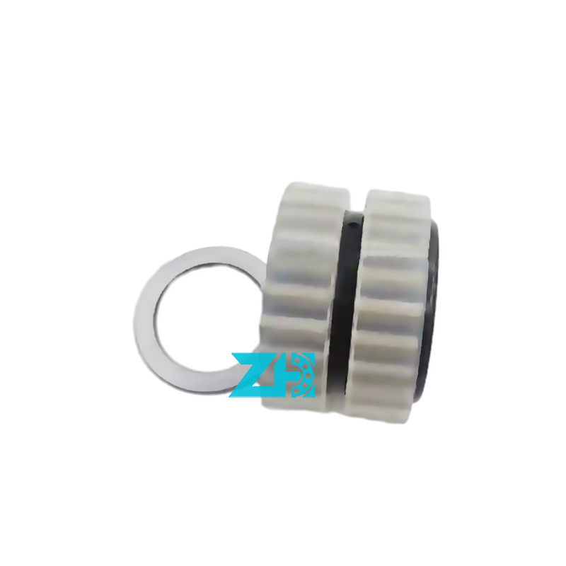 F-212355 Cuscinetti della scatola di cambio F-212355.02.RNN cuscinetto a rulli cilindrici a pieno supplemento F-212355.02