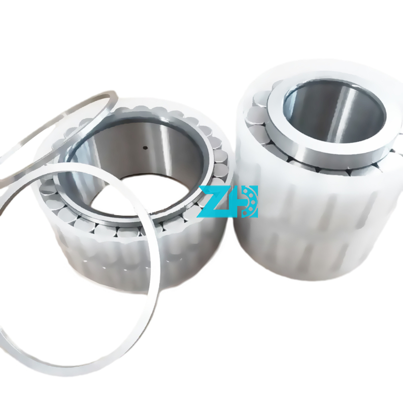 Fabbricazione di cuscinetti a rulli radiali a doppia fila F-238900.RNN